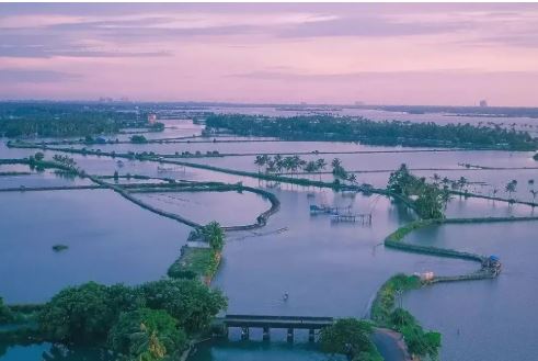 വ്യവസായി ആനന്ദ് മഹിന്ദ്ര പറഞ്ഞതോടെ സോഷ്യൽ മീഡിയയിലെ പ്രധാന ചർച്ച കേരളത്തിലെ കടമക്കുടി എന്ന ഗ്രാമം.