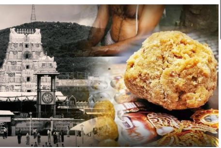 തിരുപ്പതി ക്ഷേത്രത്തിൽ ഇനിമുതൽ പ്രസാദമായ ലഡ്ഡുവിൻ്റെ ഗുണനിലവാരം യന്ത്രങ്ങൾ പരിശോധിക്കും.